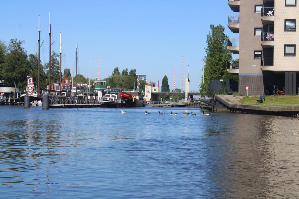 IMG_3966.JPG